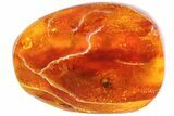Detailed Fossil Spider (Aranea) In Baltic Amber #81803-1